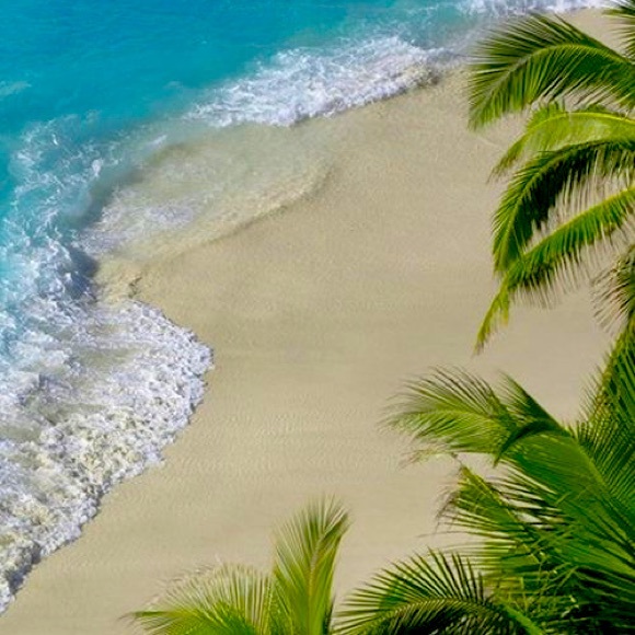 🌊I’m a Posh Ambassador! Thanks for stopping by!🦩 - Picture 1 of 1